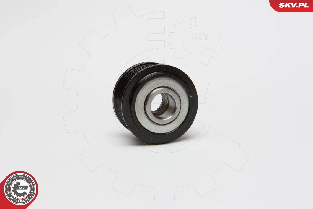 Alternator Freewheel Clutch